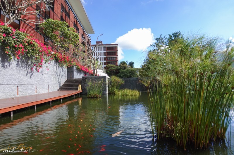 涵碧樓,日月潭住宿,南投住宿,日月潭湖景房,thelalu,五星級飯店,生日飯店