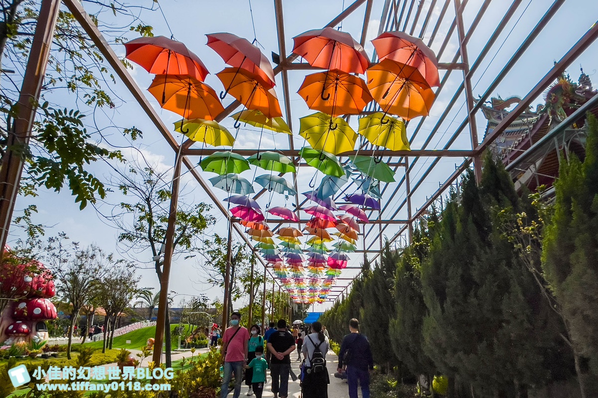 [嘉義景點]三隻小豬觀光農場/大草原+多功能溜滑梯+餵食動物+開放式鳥園+親子DIY/好拍好玩的嘉義親子景點推薦