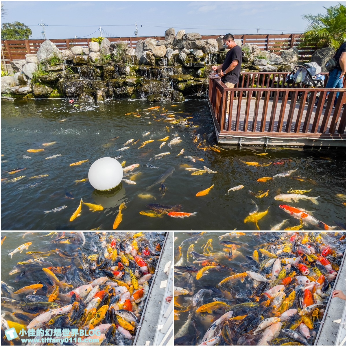[嘉義景點]三隻小豬觀光農場/大草原+多功能溜滑梯+餵食動物+開放式鳥園+親子DIY/好拍好玩的嘉義親子景點推薦
