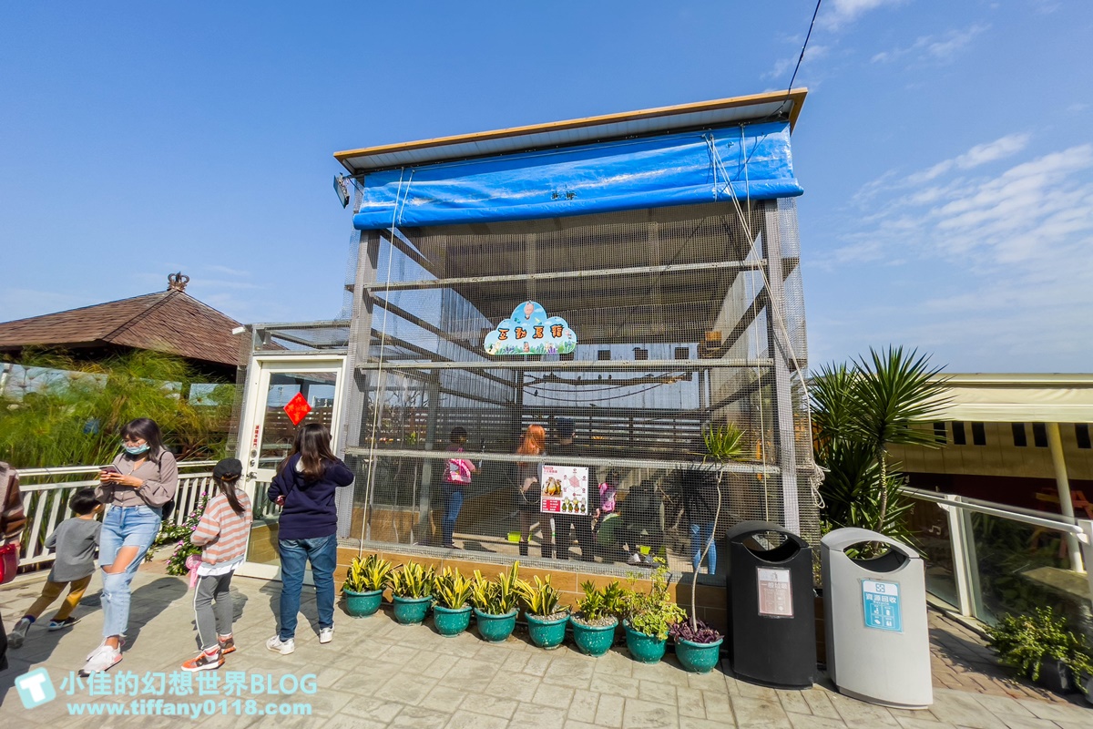 [嘉義景點]三隻小豬觀光農場/大草原+多功能溜滑梯+餵食動物+開放式鳥園+親子DIY/好拍好玩的嘉義親子景點推薦