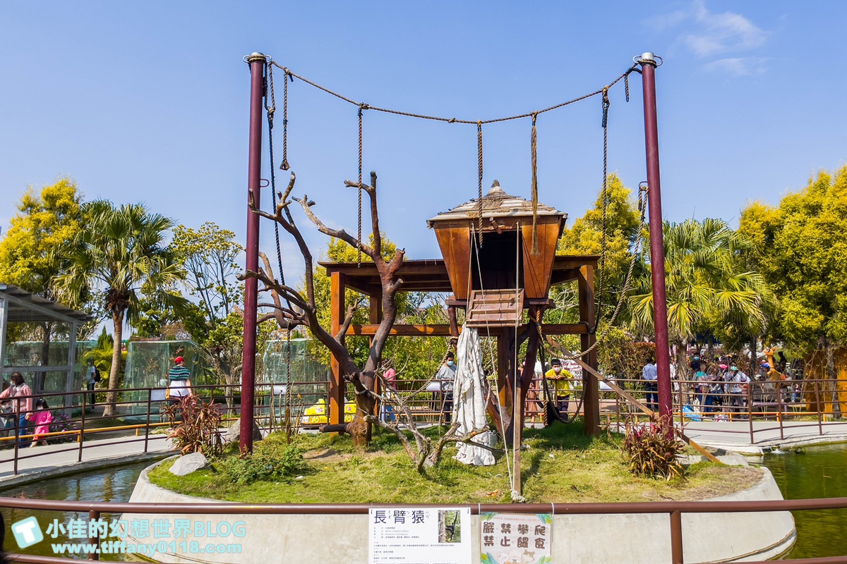 [嘉義景點]三隻小豬觀光農場/大草原+多功能溜滑梯+餵食動物+開放式鳥園+親子DIY/好拍好玩的嘉義親子景點推薦