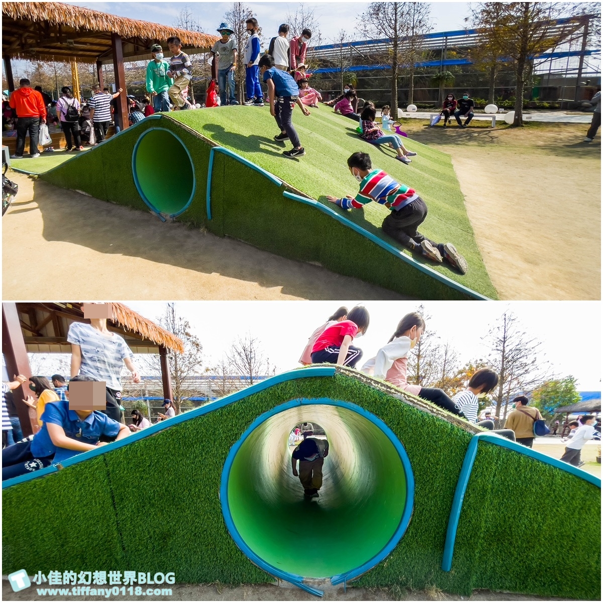 [嘉義景點]三隻小豬觀光農場/大草原+多功能溜滑梯+餵食動物+開放式鳥園+親子DIY/好拍好玩的嘉義親子景點推薦