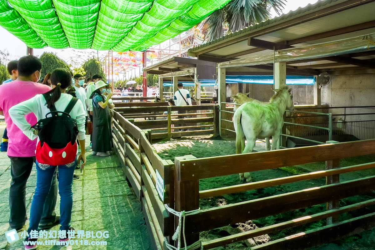 [嘉義景點]三隻小豬觀光農場/大草原+多功能溜滑梯+餵食動物+開放式鳥園+親子DIY/好拍好玩的嘉義親子景點推薦