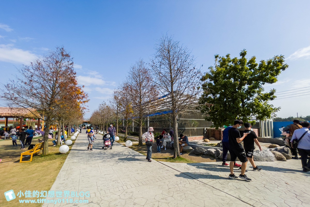 [嘉義景點]三隻小豬觀光農場/大草原+多功能溜滑梯+餵食動物+開放式鳥園+親子DIY/好拍好玩的嘉義親子景點推薦