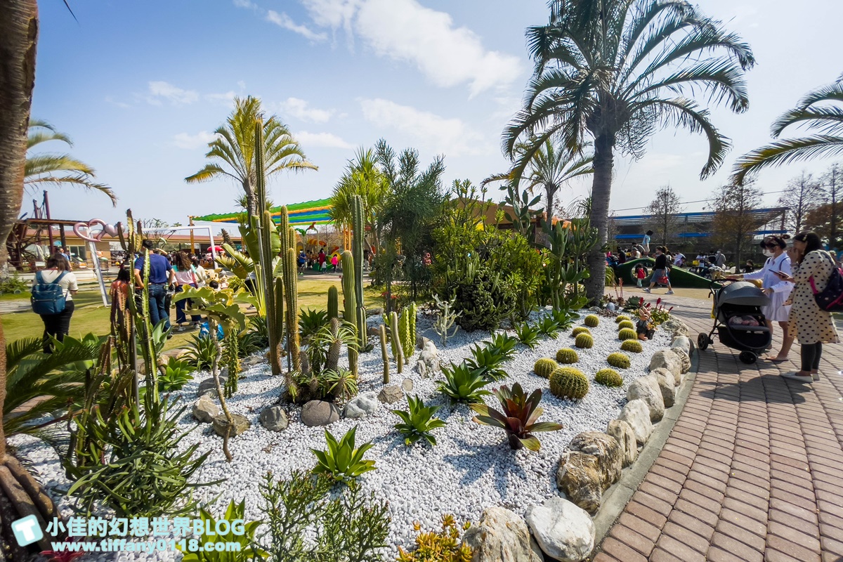 [嘉義景點]三隻小豬觀光農場/大草原+多功能溜滑梯+餵食動物+開放式鳥園+親子DIY/好拍好玩的嘉義親子景點推薦