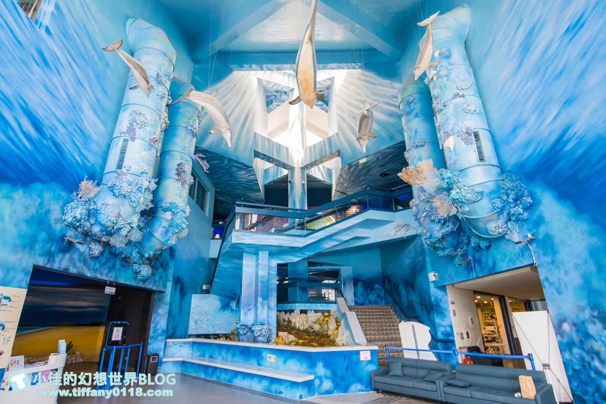 [澎湖景點]2021澎湖水族館全攻略/最優惠門票+活動時間表/超美海底隧道+必看大洋池餵食秀