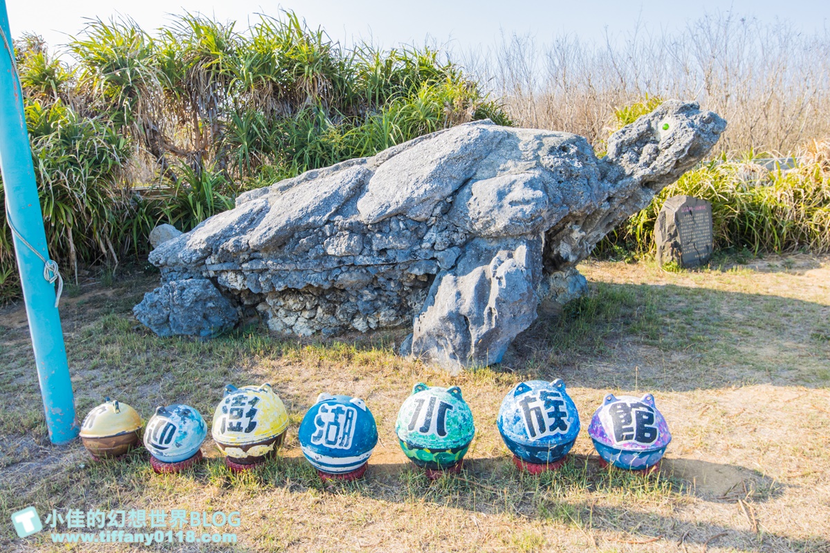 [澎湖景點]2021澎湖水族館全攻略/最優惠門票+活動時間表/超美海底隧道+必看大洋池餵食秀
