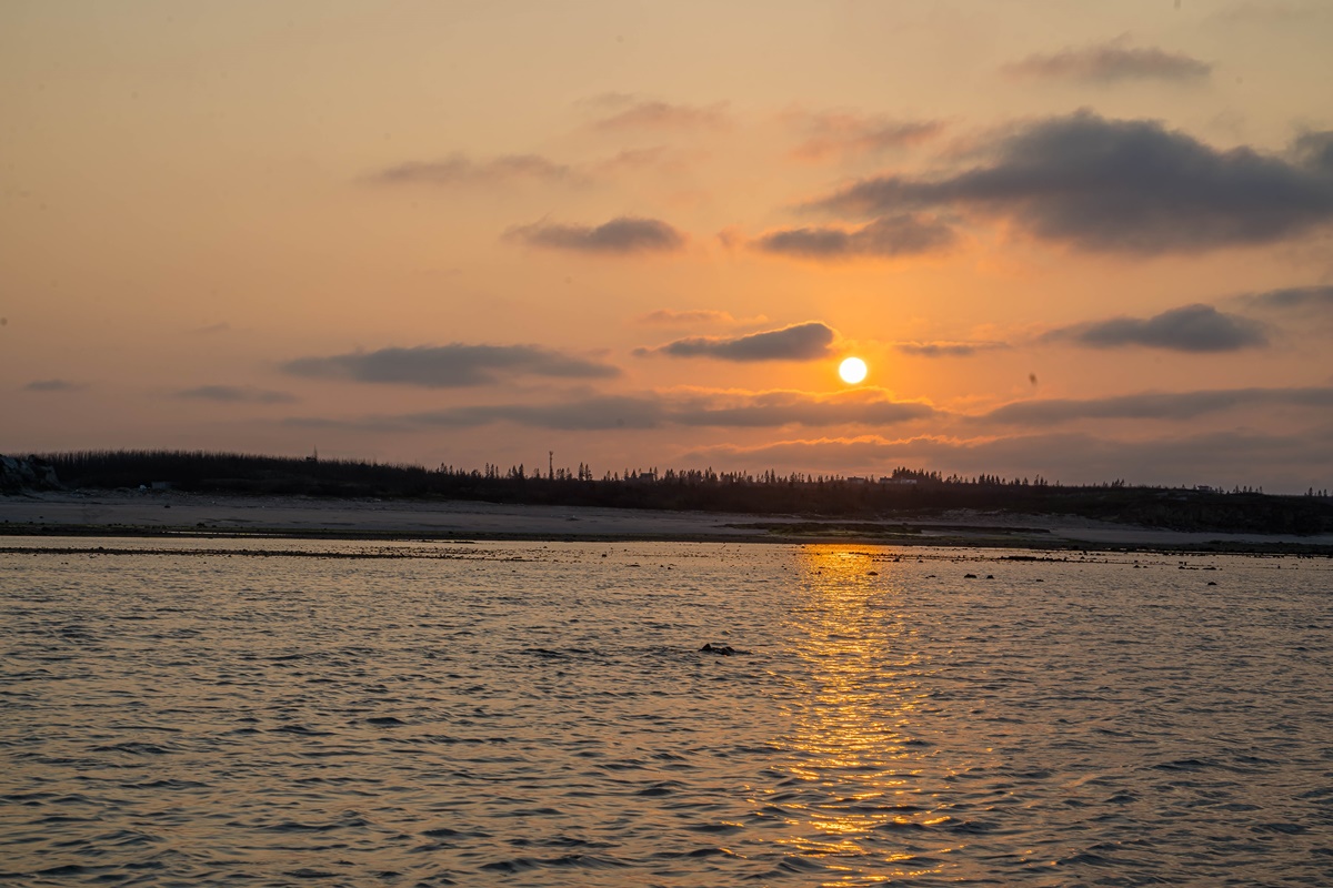 [澎湖行程]阿婆抱墩/全世界唯一的抱墩捕魚法/現抓石斑魚超有趣/澎湖抱墩體驗推薦