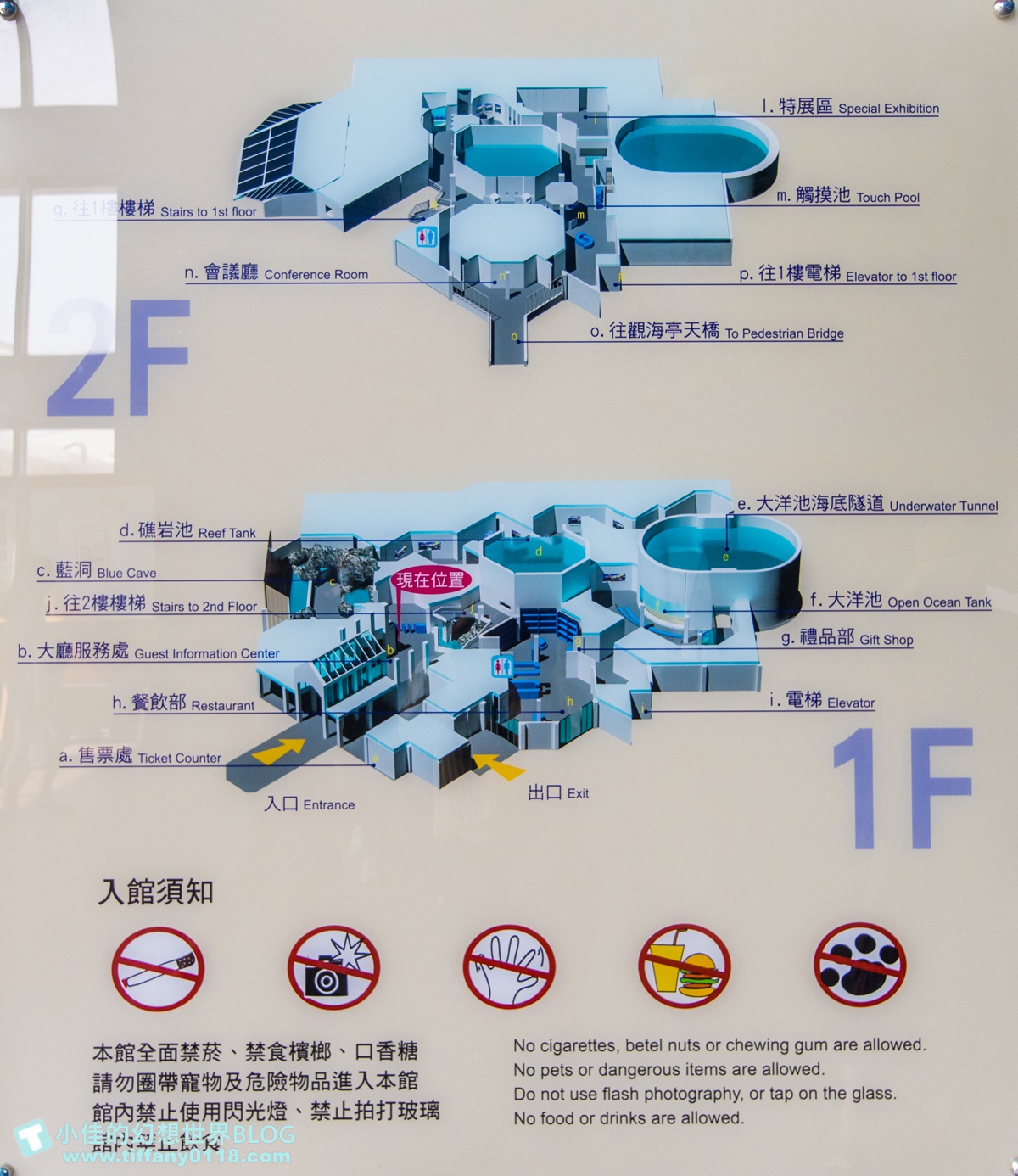 [澎湖景點]2021澎湖水族館全攻略/最優惠門票+活動時間表/超美海底隧道+必看大洋池餵食秀