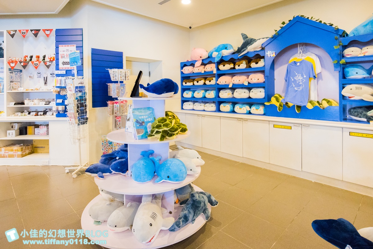 [澎湖景點]2021澎湖水族館全攻略/最優惠門票+活動時間表/超美海底隧道+必看大洋池餵食秀