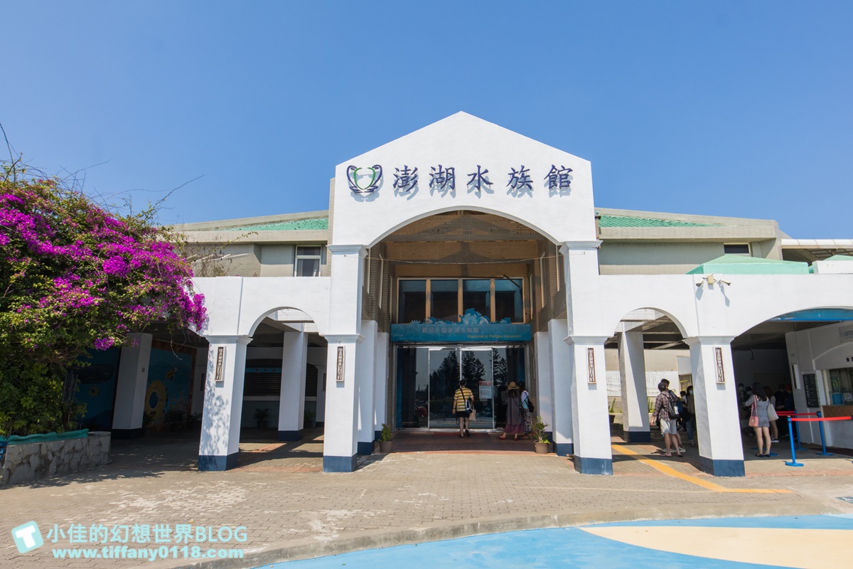 [澎湖景點]2021澎湖水族館全攻略/最優惠門票+活動時間表/超美海底隧道+必看大洋池餵食秀