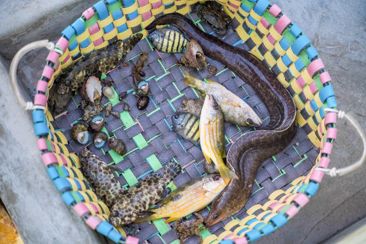 [澎湖行程]阿婆抱墩/全世界唯一的抱墩捕魚法/現抓石斑魚超有趣/澎湖抱墩體驗推薦