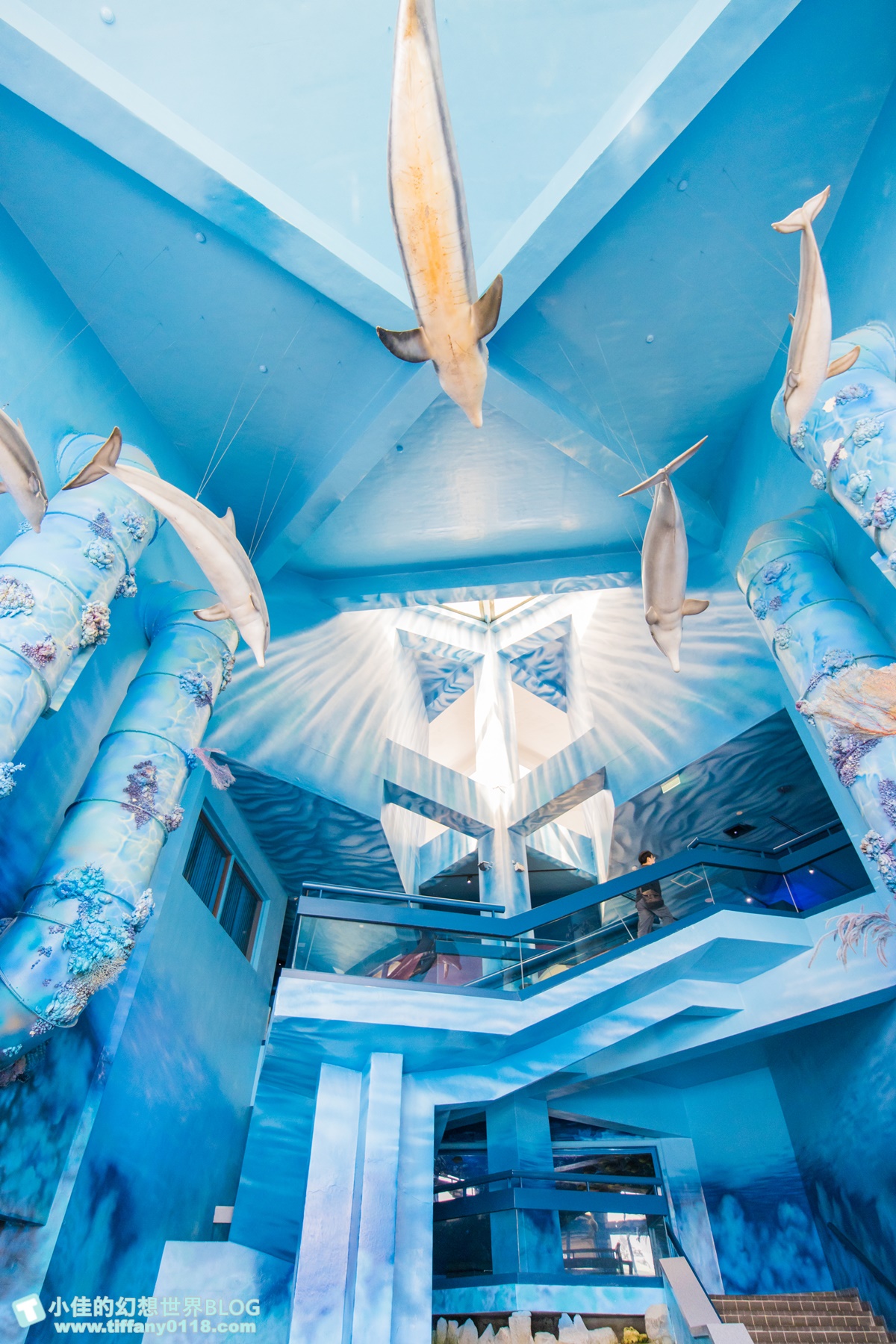 [澎湖景點]2021澎湖水族館全攻略/最優惠門票+活動時間表/超美海底隧道+必看大洋池餵食秀