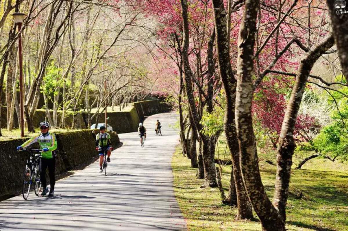 奧萬大森林遊樂區