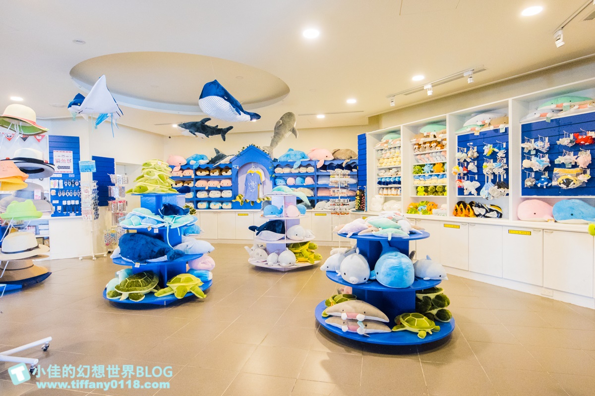 [澎湖景點]2021澎湖水族館全攻略/最優惠門票+活動時間表/超美海底隧道+必看大洋池餵食秀