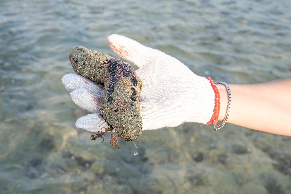 [澎湖行程]阿婆抱墩/全世界唯一的抱墩捕魚法/現抓石斑魚超有趣/澎湖抱墩體驗推薦