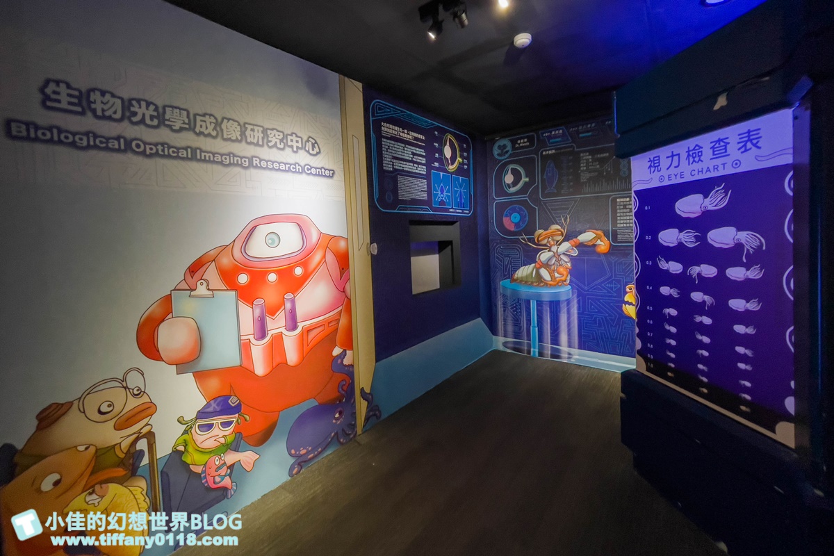 [澎湖景點]2021澎湖水族館全攻略/最優惠門票+活動時間表/超美海底隧道+必看大洋池餵食秀