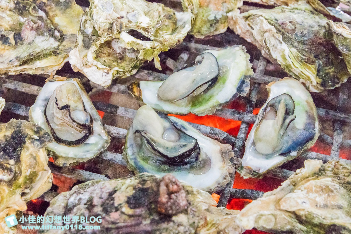 [澎湖行程]海洋牧場體驗/牡蠣現烤吃到飽+海鮮粥任你吃+卡拉OK歡唱+體驗無鉤魚餌釣花枝與海鱺魚/澎湖最新玩法