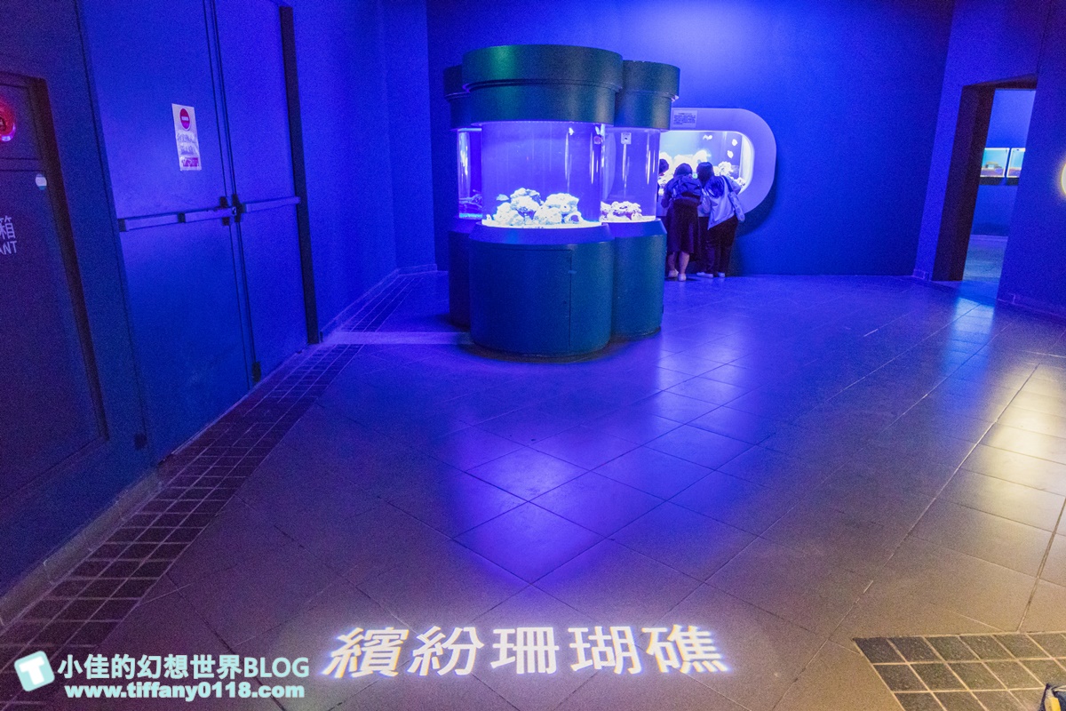 [澎湖景點]2021澎湖水族館全攻略/最優惠門票+活動時間表/超美海底隧道+必看大洋池餵食秀