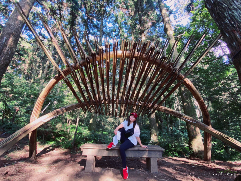 桃園旅遊,桃園飯店,桃園景點,桃園好玩,桃園住宿,旅遊補助,桃園補助