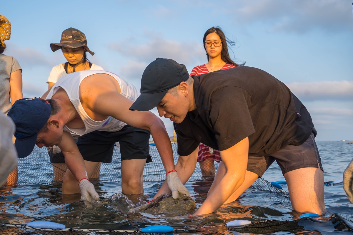 [澎湖行程]阿婆抱墩/全世界唯一的抱墩捕魚法/現抓石斑魚超有趣/澎湖抱墩體驗推薦