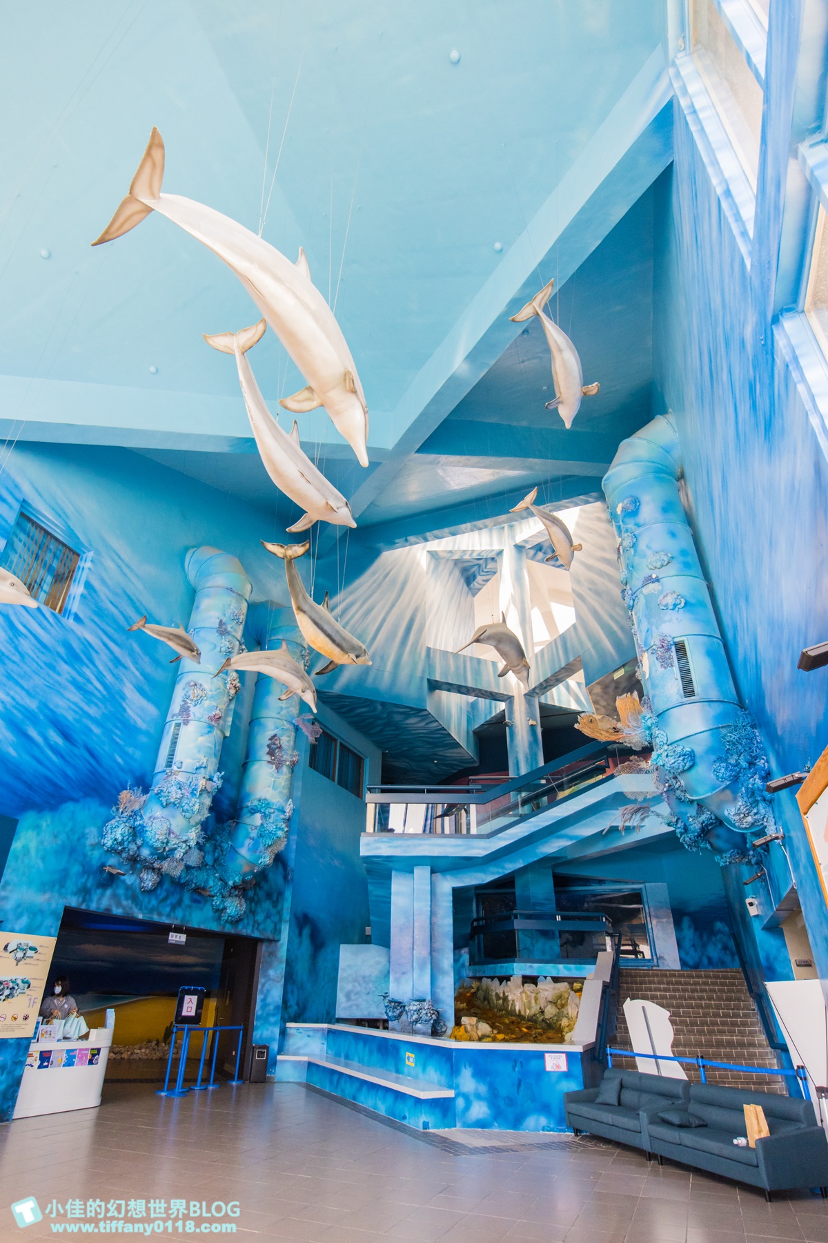 [澎湖景點]2021澎湖水族館全攻略/最優惠門票+活動時間表/超美海底隧道+必看大洋池餵食秀