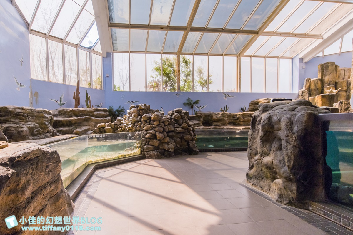 [澎湖景點]2021澎湖水族館全攻略/最優惠門票+活動時間表/超美海底隧道+必看大洋池餵食秀
