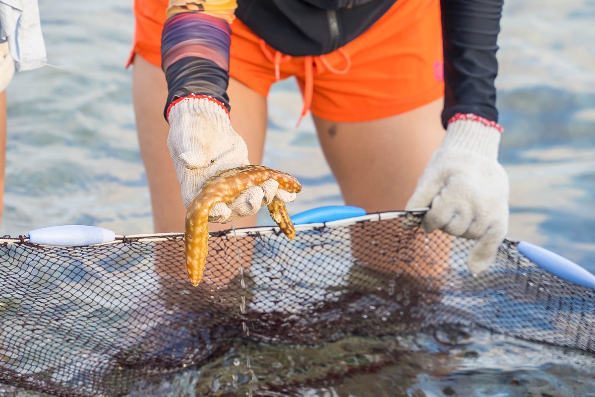 [澎湖行程]阿婆抱墩/全世界唯一的抱墩捕魚法/現抓石斑魚超有趣/澎湖抱墩體驗推薦