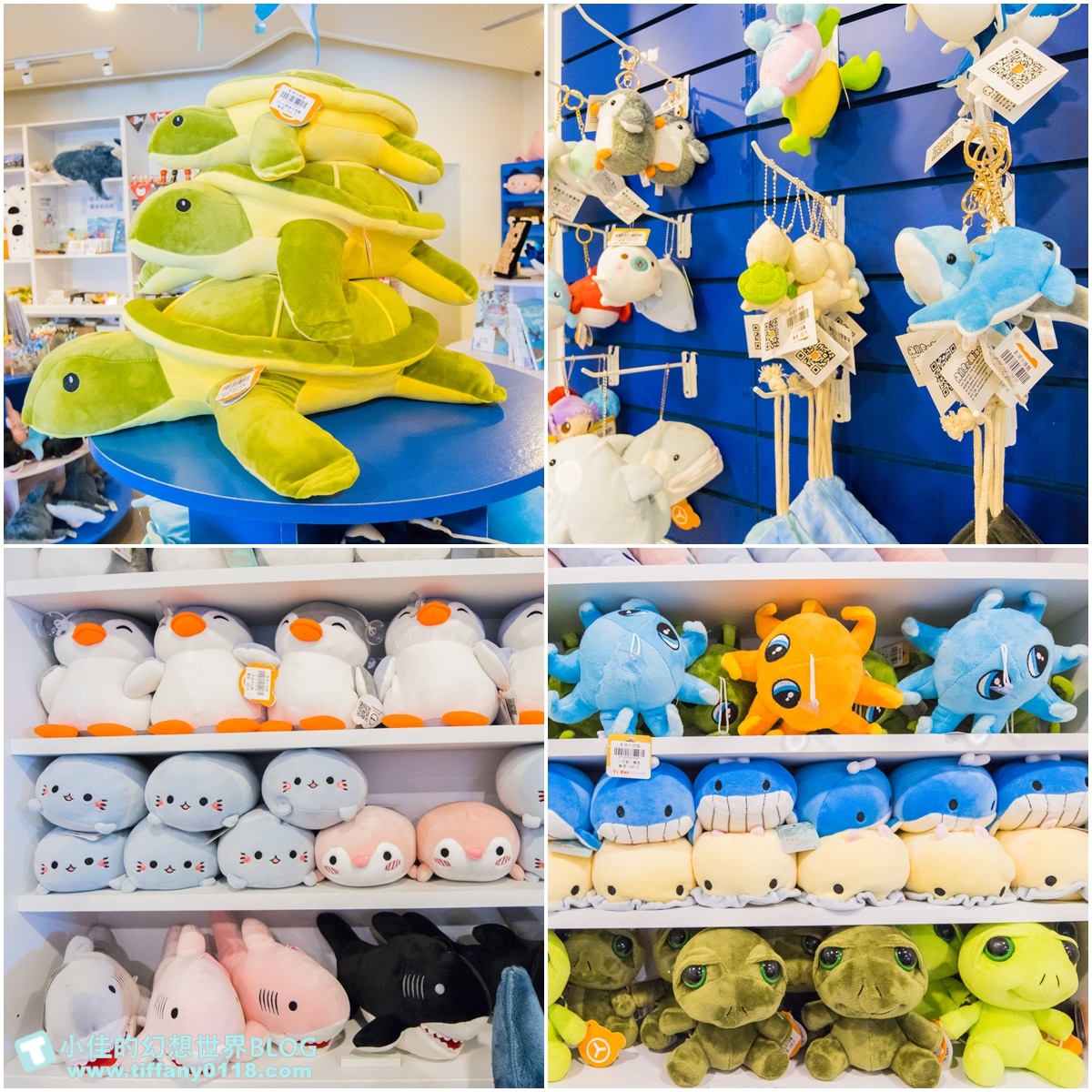 [澎湖景點]2021澎湖水族館全攻略/最優惠門票+活動時間表/超美海底隧道+必看大洋池餵食秀