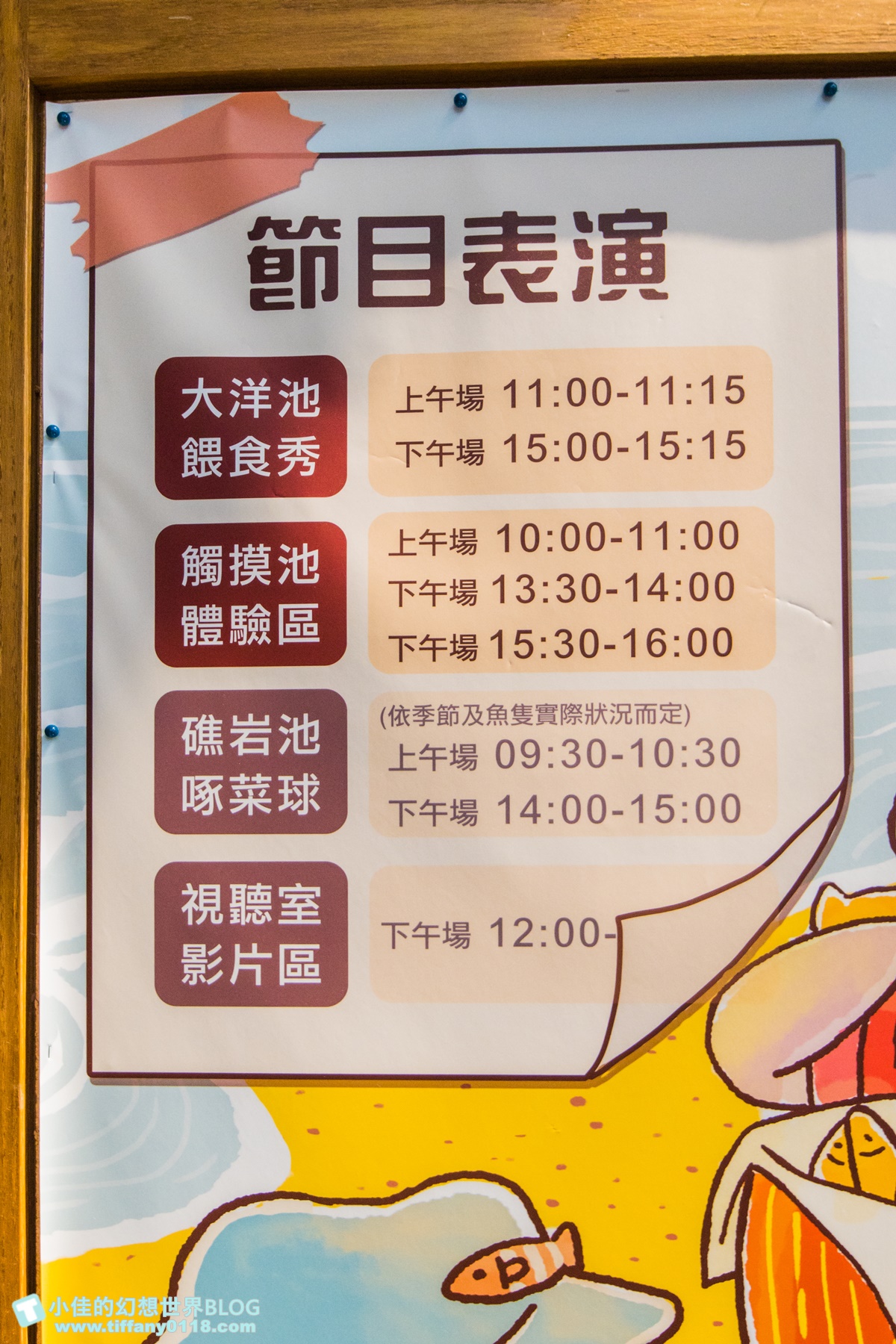 [澎湖景點]2021澎湖水族館全攻略/最優惠門票+活動時間表/超美海底隧道+必看大洋池餵食秀
