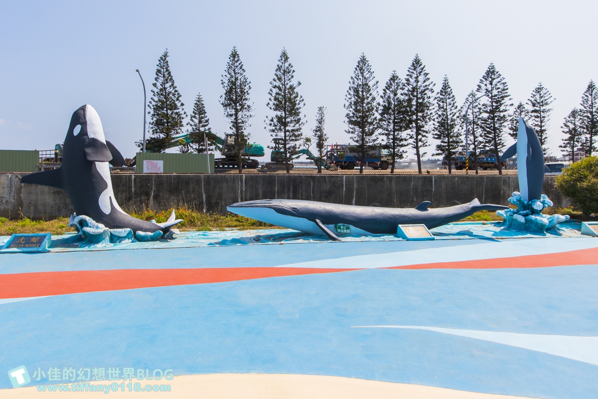 [澎湖景點]2021澎湖水族館全攻略/最優惠門票+活動時間表/超美海底隧道+必看大洋池餵食秀