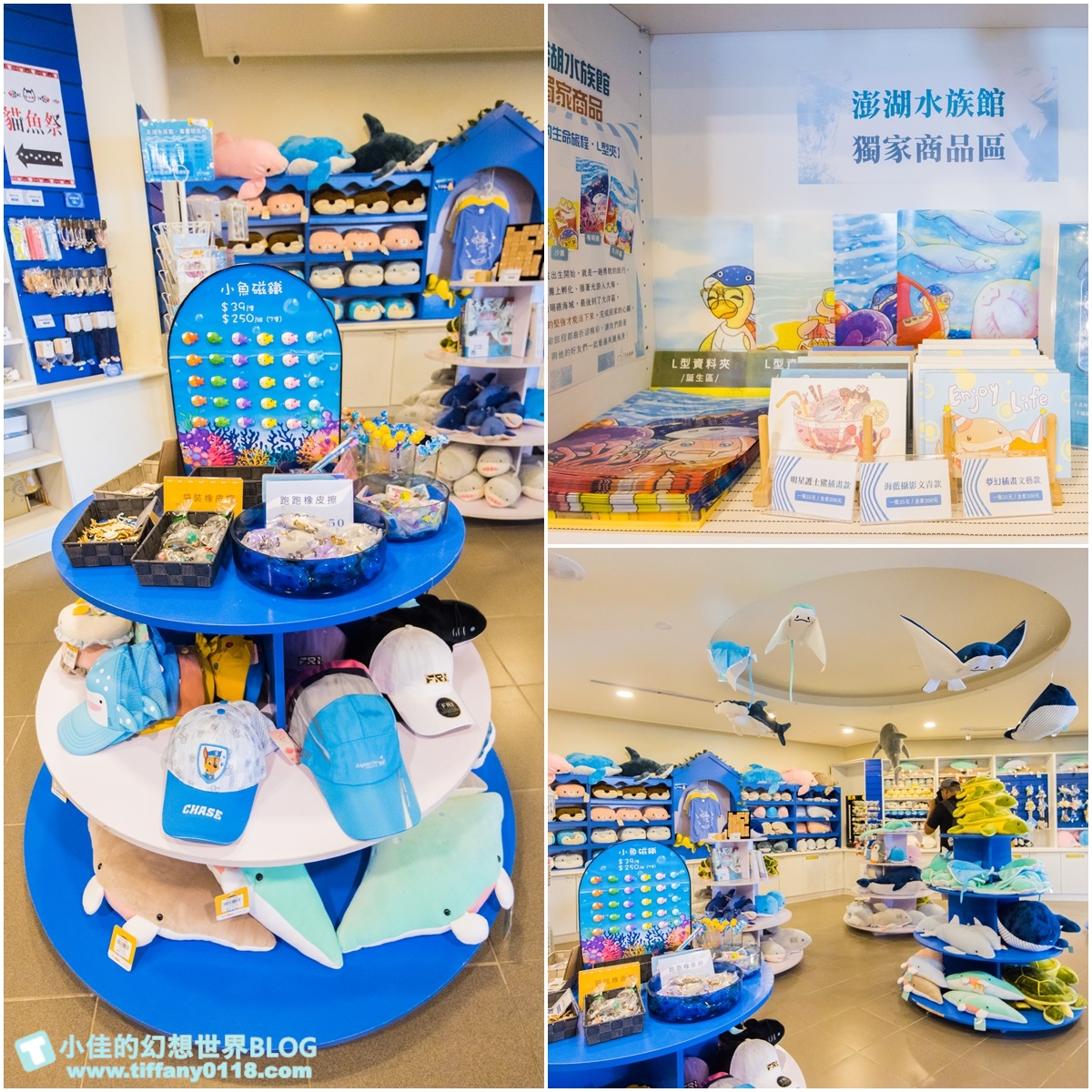 [澎湖景點]2021澎湖水族館全攻略/最優惠門票+活動時間表/超美海底隧道+必看大洋池餵食秀