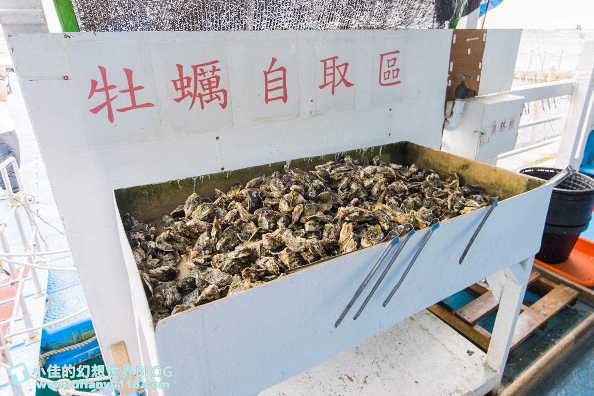 [澎湖行程]海洋牧場體驗/牡蠣現烤吃到飽+海鮮粥任你吃+卡拉OK歡唱+體驗無鉤魚餌釣花枝與海鱺魚/澎湖最新玩法