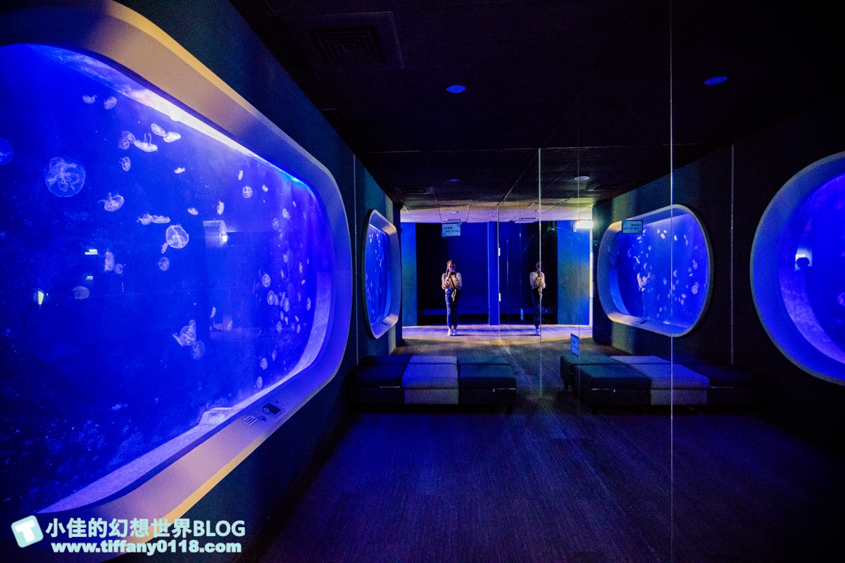 [澎湖景點]2021澎湖水族館全攻略/最優惠門票+活動時間表/超美海底隧道+必看大洋池餵食秀