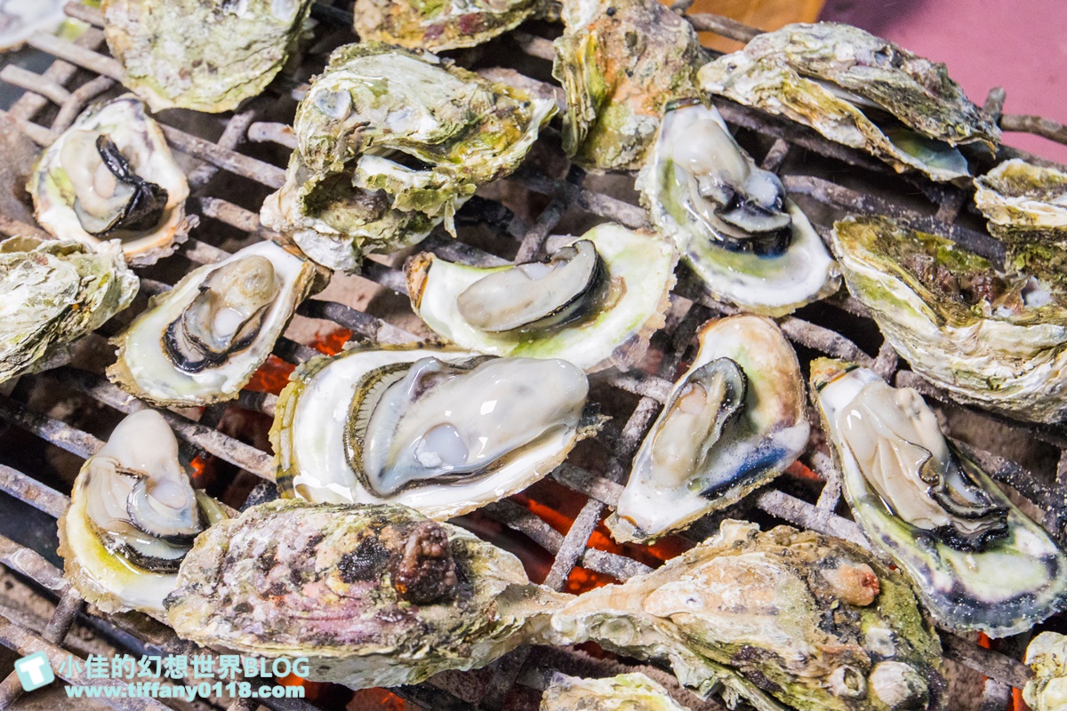 [澎湖行程]海洋牧場體驗/牡蠣現烤吃到飽+海鮮粥任你吃+卡拉OK歡唱+體驗無鉤魚餌釣花枝與海鱺魚/澎湖最新玩法