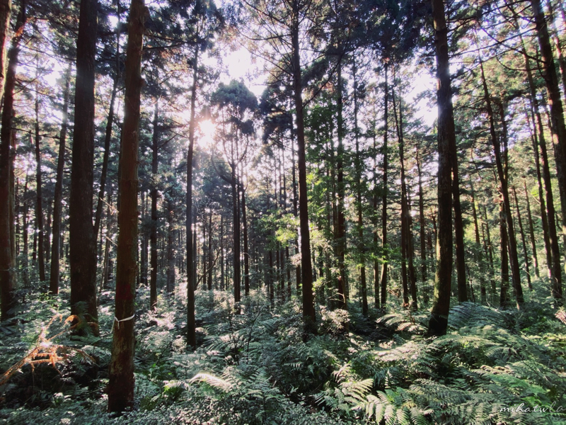 桃園旅遊,桃園飯店,桃園景點,桃園好玩,桃園住宿,旅遊補助,桃園補助