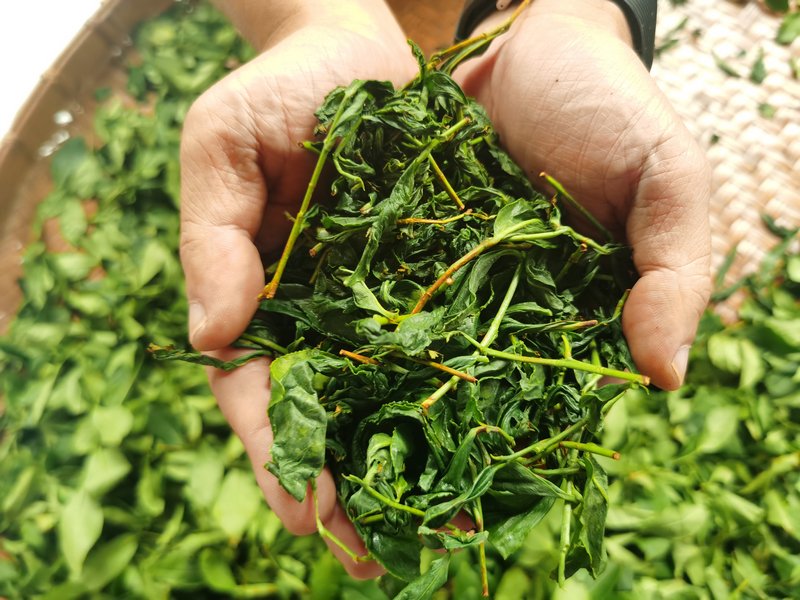 南投景點推薦|南投一日遊二日遊三天兩夜行程推薦/IG美拍景點親子DIY美食餐廳民宿飯店懶人包