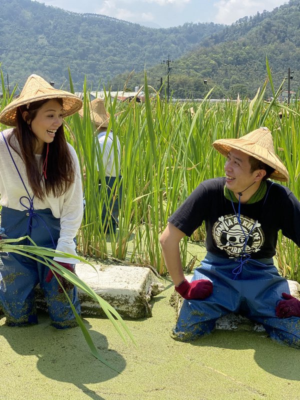 南投景點推薦|南投一日遊二日遊三天兩夜行程推薦/IG美拍景點親子DIY美食餐廳民宿飯店懶人包