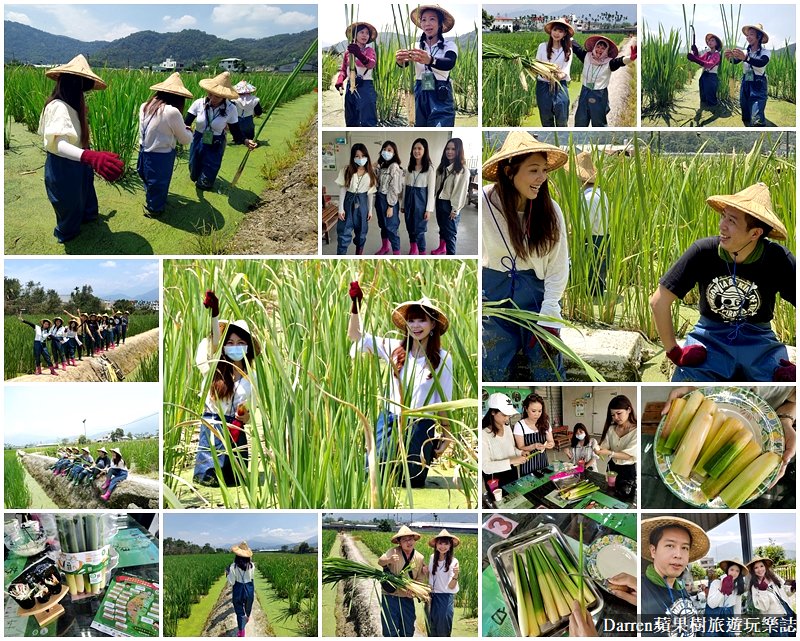 南投景點推薦|南投一日遊二日遊三天兩夜行程推薦/IG美拍景點親子DIY美食餐廳民宿飯店懶人包