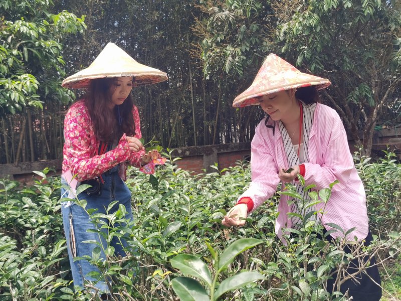 南投景點推薦|南投一日遊二日遊三天兩夜行程推薦/IG美拍景點親子DIY美食餐廳民宿飯店懶人包