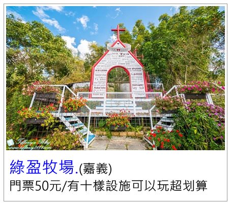 [嘉義美食]林聰明沙鍋魚頭(附完整菜單)/無限次免費加湯/在地人觀光客都力推的嘉義夜市必吃美食