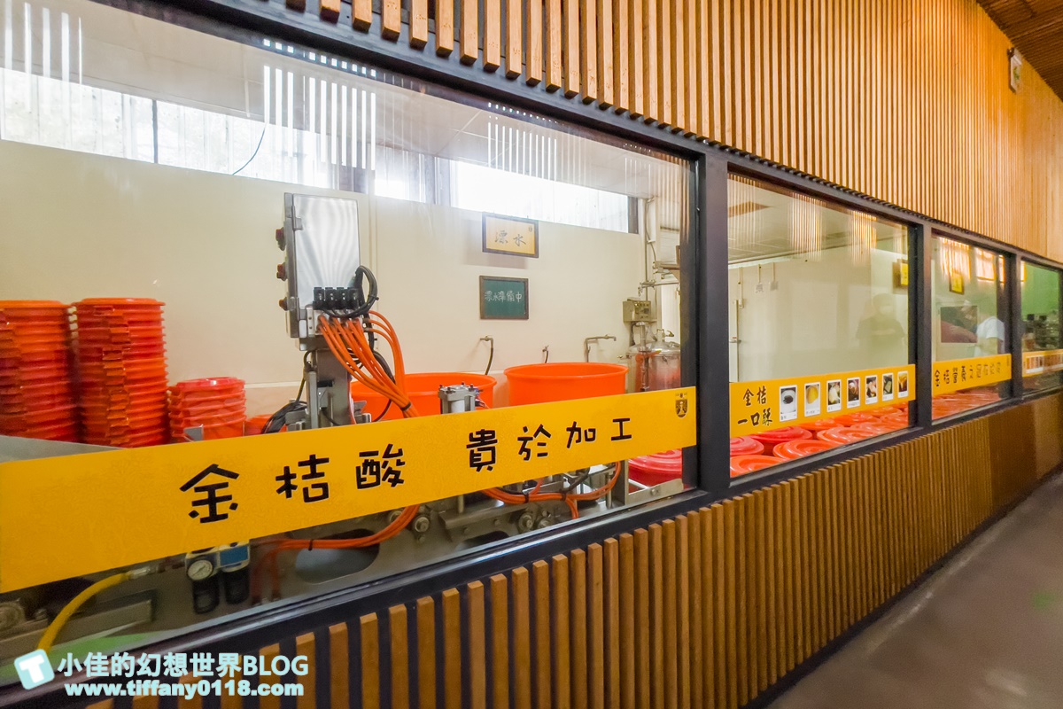 [嘉義景點]金桔觀光工廠(免門票)/樹屋溜滑梯攀爬網+時光隧道+金桔DIY+大草原野餐/嘉義親子景點推薦