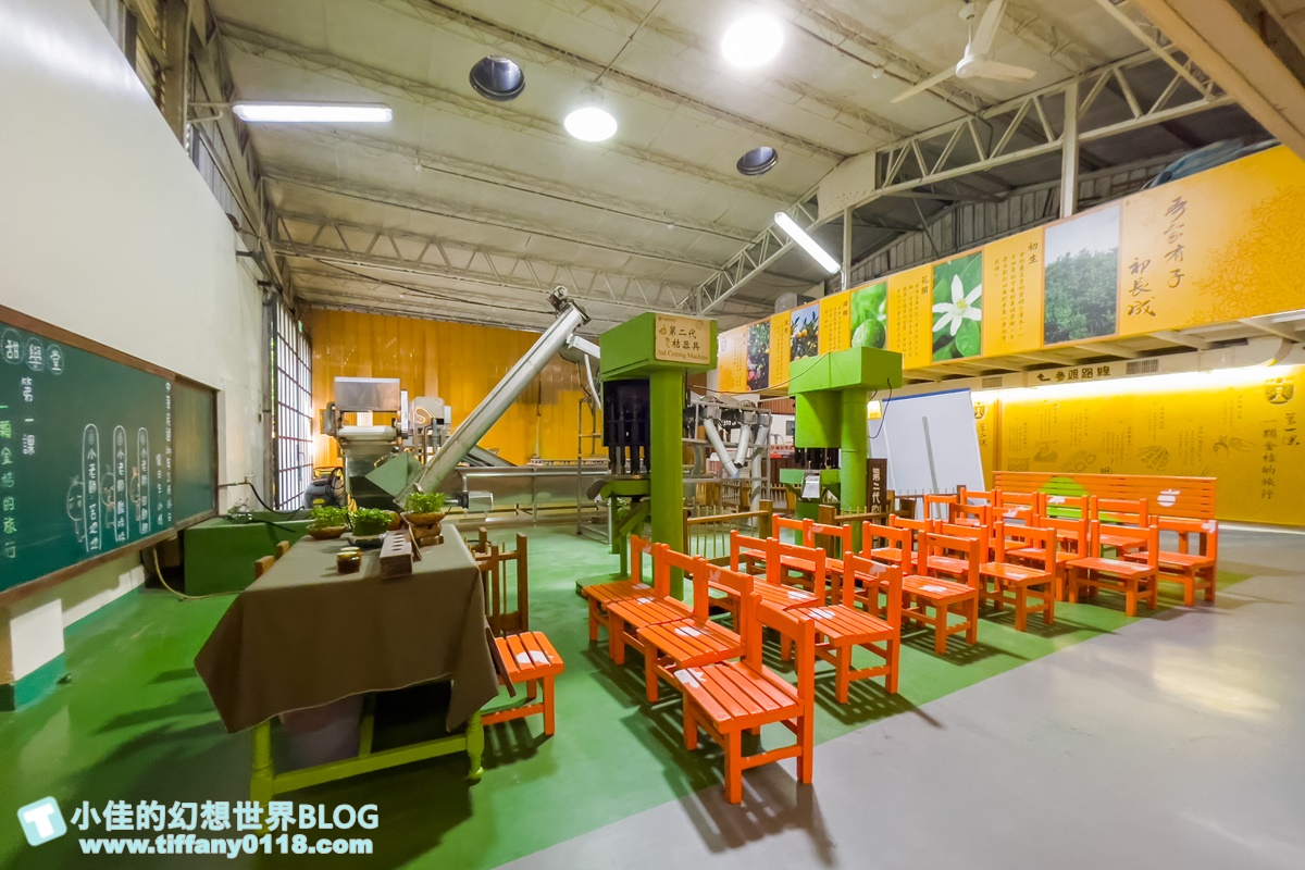 [嘉義景點]金桔觀光工廠(免門票)/樹屋溜滑梯攀爬網+時光隧道+金桔DIY+大草原野餐/嘉義親子景點推薦