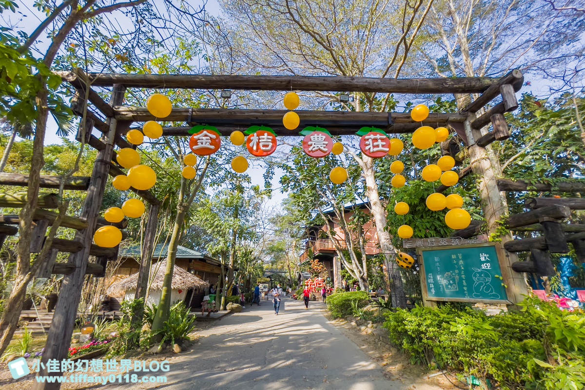 [嘉義景點]金桔觀光工廠(免門票)/樹屋溜滑梯攀爬網+時光隧道+金桔DIY+大草原野餐/嘉義親子景點推薦