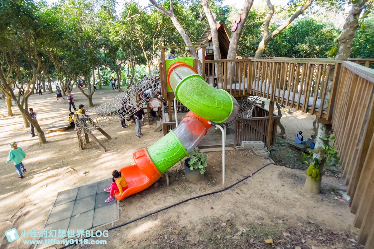 [嘉義景點]金桔觀光工廠(免門票)/樹屋溜滑梯攀爬網+時光隧道+金桔DIY+大草原野餐/嘉義親子景點推薦