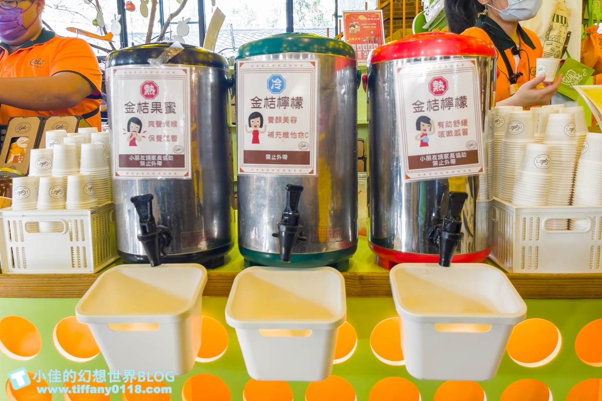 [嘉義景點]金桔觀光工廠(免門票)/樹屋溜滑梯攀爬網+時光隧道+金桔DIY+大草原野餐/嘉義親子景點推薦