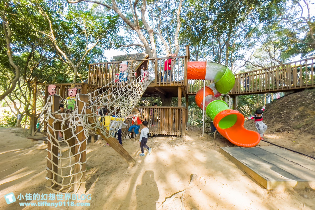 [嘉義景點]金桔觀光工廠(免門票)/樹屋溜滑梯攀爬網+時光隧道+金桔DIY+大草原野餐/嘉義親子景點推薦