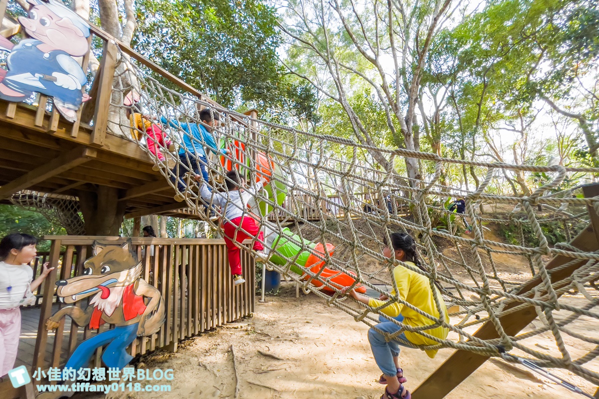 [嘉義景點]金桔觀光工廠(免門票)/樹屋溜滑梯攀爬網+時光隧道+金桔DIY+大草原野餐/嘉義親子景點推薦
