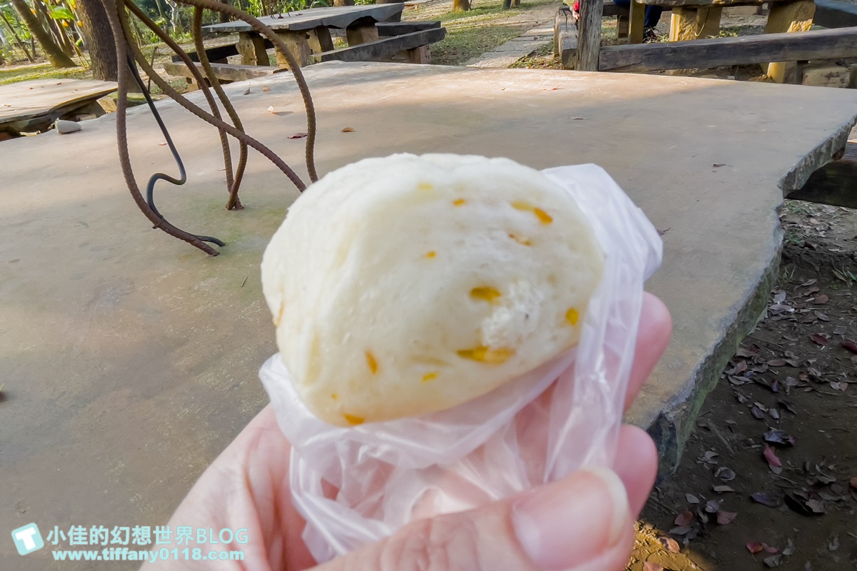 [嘉義景點]金桔觀光工廠(免門票)/樹屋溜滑梯攀爬網+時光隧道+金桔DIY+大草原野餐/嘉義親子景點推薦