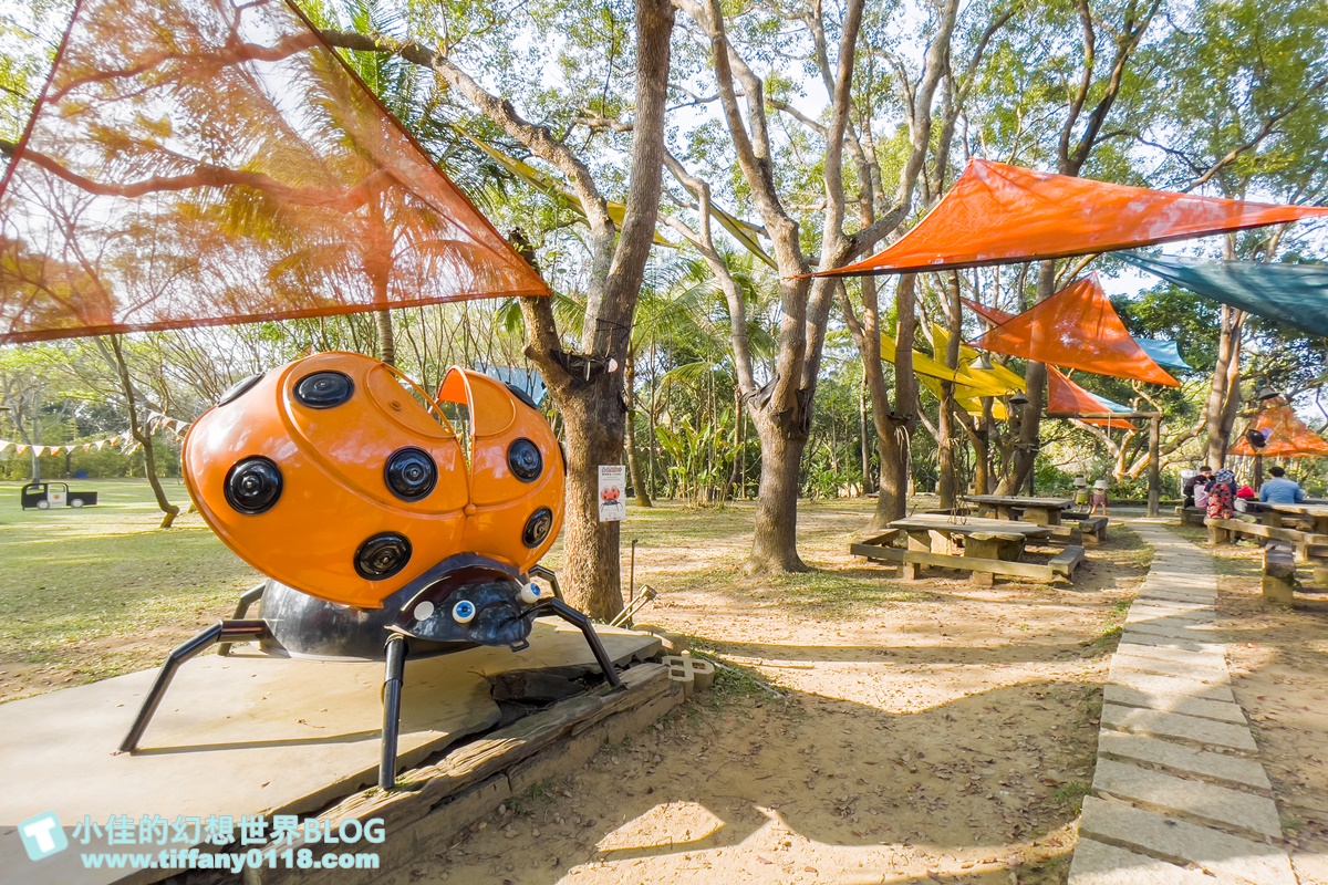 [嘉義景點]金桔觀光工廠(免門票)/樹屋溜滑梯攀爬網+時光隧道+金桔DIY+大草原野餐/嘉義親子景點推薦